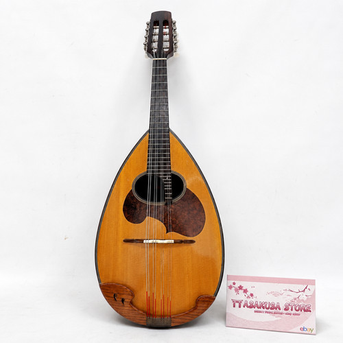 Suzuki mandolino con - suzuki,