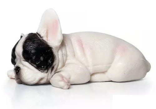 Bulldog francese cane animale