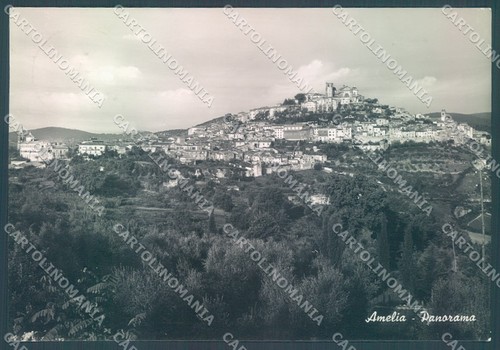 Terni amelia alterocca 30980 - amelia,