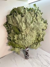 10 scope quercia accessori