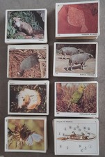 ALBUM DI FIGURINE - PANINI -IL