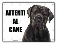Cartello Attenti al cane Cane