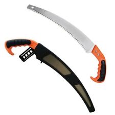 Segaccio sega da pota per