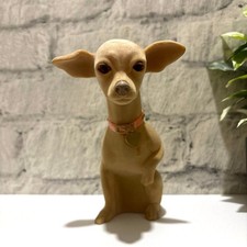 Chihuahua giocattolo liscio