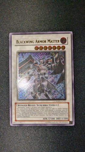 Blackwing armor master - blackwing,