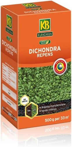 Sementi dichondra repens - dichondra, 250