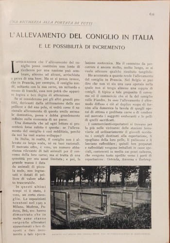 Allevamento del coniglio - del,