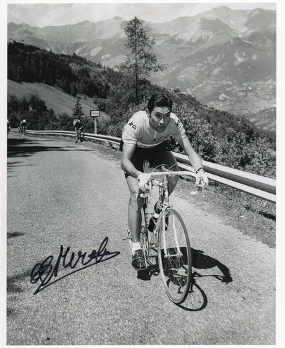 Eddy merckx foto autografata - eddy,