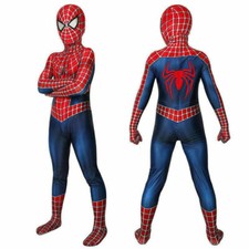 Toby Maguire Spider-Man