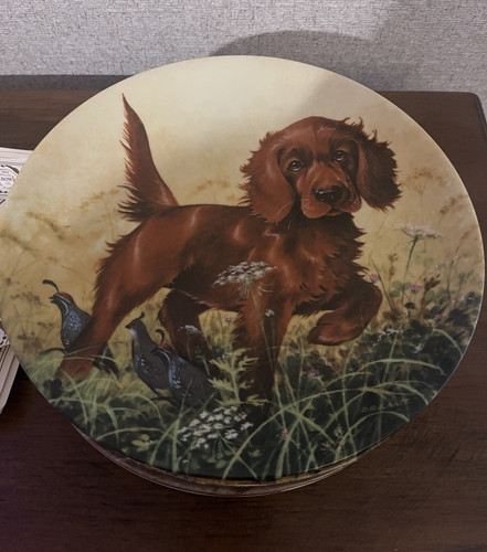 Set piatti collezione - da,
