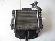 PA66-GF30 Radiatore Raffreddamento Acqua Liquido Kymco People S 250 2006 2012