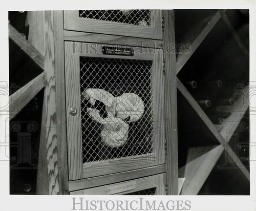 1985 stampa foto dom perignon - 1985,