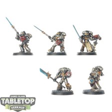 Cavalieri Grigi - Squadra
