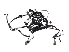 Ducati Streetfighter V4S 2023 IMPIANTO ELETTRICO MOTORE OEM ORIGINALE 5101M281C