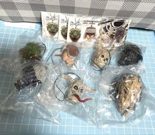 Dorohedoro Testa Mascotte