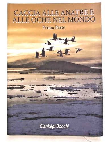 Bocchi caccia alle anatre - alle, e