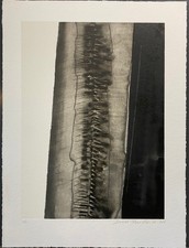 Arnaldo Pomodoro - Rara