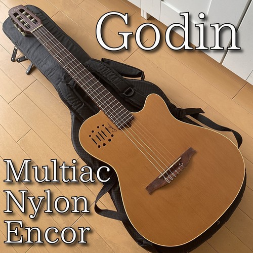 Raro capolavoro godin - godin, multiac