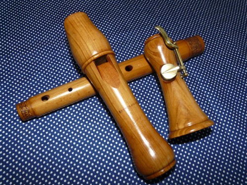Mollenhauer vecchio flauto