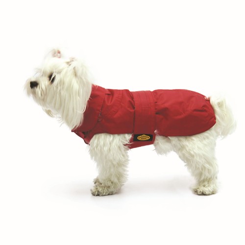 Fashion dog cappotto per - fashion,