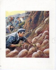 SEVERINO BARALDI - ILL