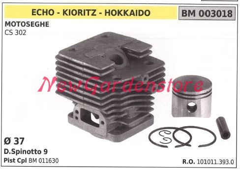 Cilindro pistone segmenti echo - cilindro,