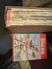 Rivista d’epoca, Collezione