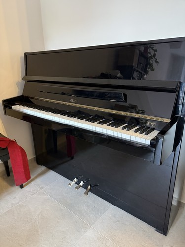Pianoforte verticale fibich - pianoforte,