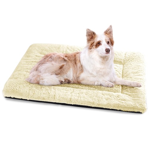 Cuccia cane interno taglia - cuccia,