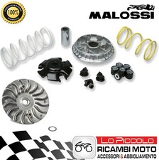 Variatore Malossi Multivar