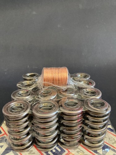 Vsk1500 ape valve springs - vsk1500,