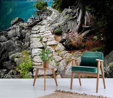 Carta da parati 3D Stone Path R4190 autoadesiva rimovibile Luna