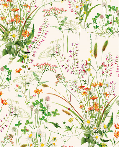 Carta regalo 70x100 fiori - regalo,
