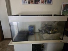 Vasca Acquario / Terrario 120 litri