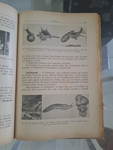 Libro epoca fascista - fascista., tre