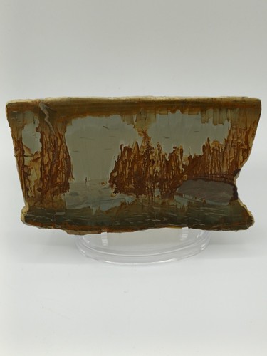 Pietra paesina firenze - di,