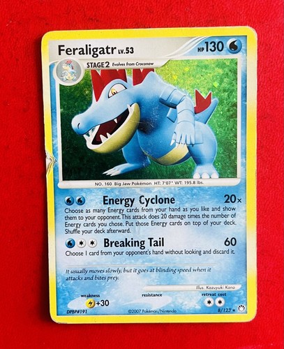 Lotto carte pokemon feraligatr - lotto,