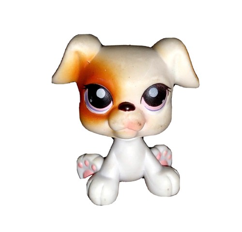 Littlest pet shop baby boxer - littlest,