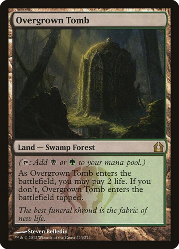 Overgrown tomb 243 - overgrown,