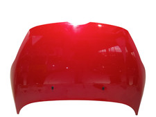 Cofano Anteriore per Ford