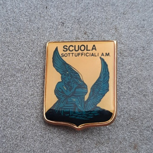 Distintivo scuola - distintivo,