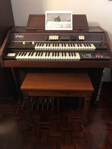 Organo elettronico due - organo, a