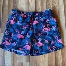 Jake Austin American flamingos