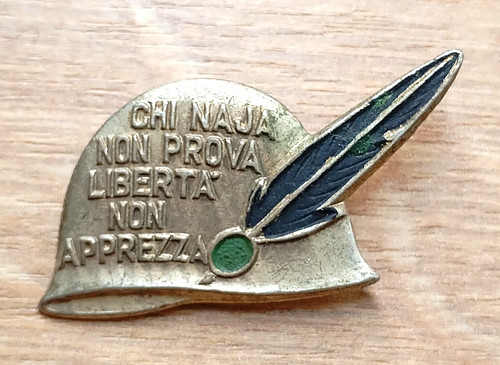 Distintivo alpini naia elmetto - distintivo,