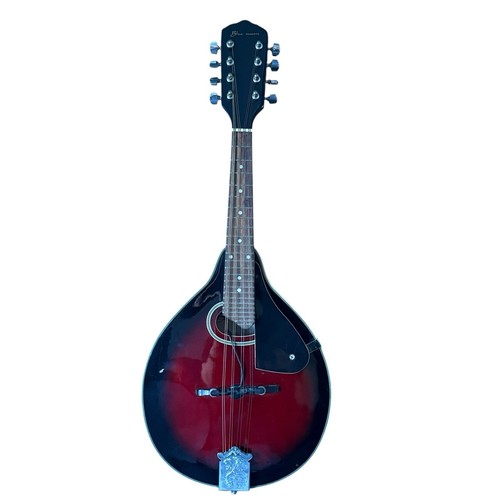 Mandolino elettroacustico blue - mandolino,