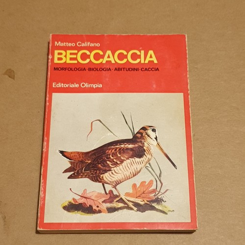 Beccaccia matteo califano - beccaccia,