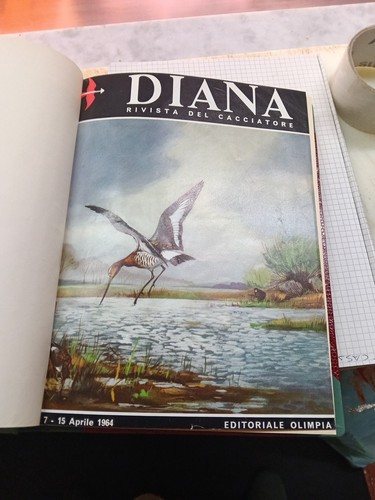 Diana rivista del cacciatore - rivista,