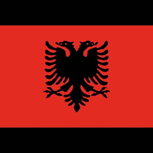Bandiera albania 40x60 - bandiera,