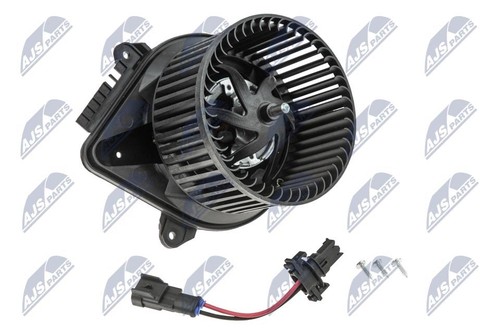 Cinghia distribuzione renault - cinghia,