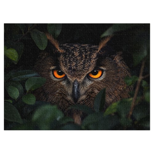 Puzzle occhi gufo - occhi, 500